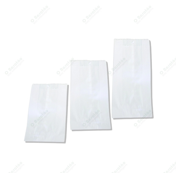 SACO PAPEL MONO VIAGEM 01 EMBALE BEM