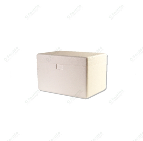 SORVETEIRA 250 G EPS ISOPOR