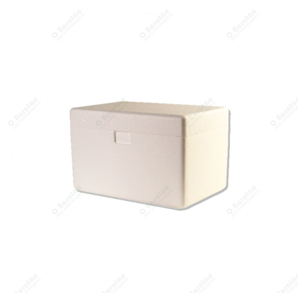SORVETEIRA 500 G EPS ISOPOR