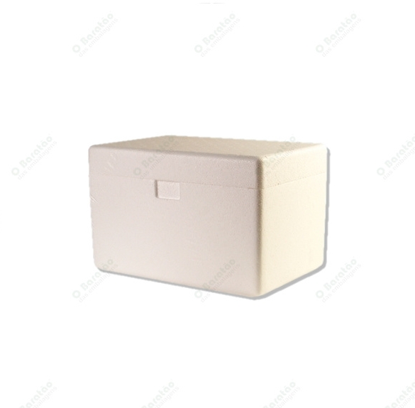SORVETEIRA 1000 G EPS ISOPOR